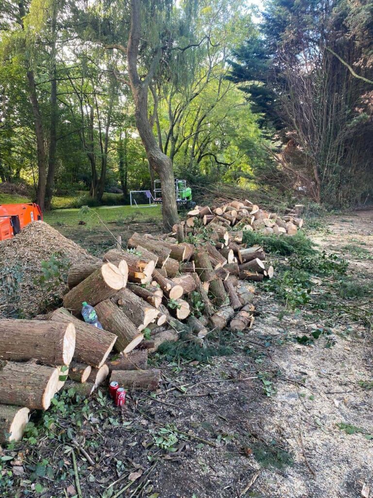 This is a photo of an overgrown large garden, which is in the process of having tree removal. The photo shows a stack of logs along the left hand side, from all the trees which are being removed. Photo taken by Worlingworth Tree Surgeons.
