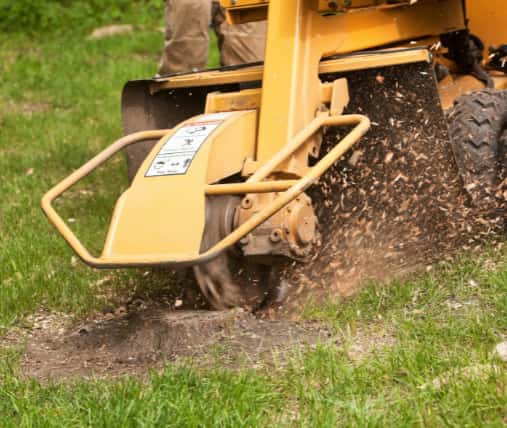 This is a photo of a stump grinding machine being used to remove a tree stump in a field. Photo taken by Worlingworth Tree Surgeons.